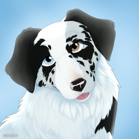 Dog portrait Dog portrait